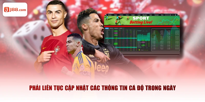 Phải liên tục cập nhật các thông tin cá độ trong ngày