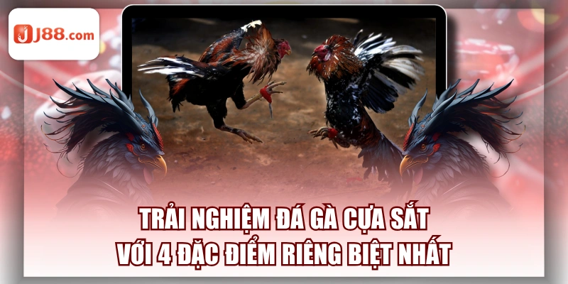 Trải Nghiệm Đá Gà Cựa Sắt Với 4 Đặc Điểm Riêng Biệt Nhất